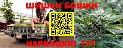 крисы Донской