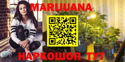 крисы Донской