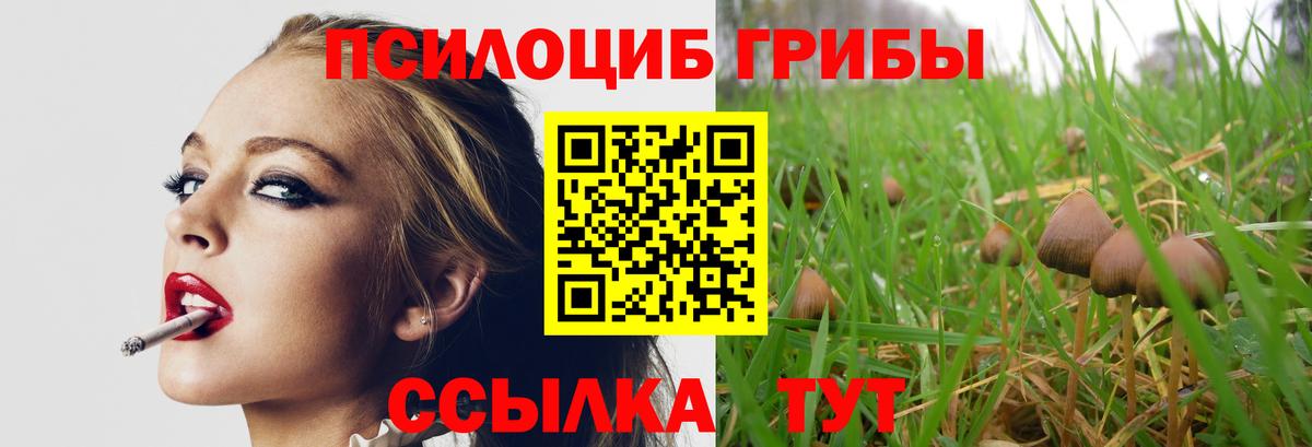 Галлюциногенные грибы прущие грибы  Псилоцибиновые грибы Magic Shrooms  Вход с VPN  Медногорск 